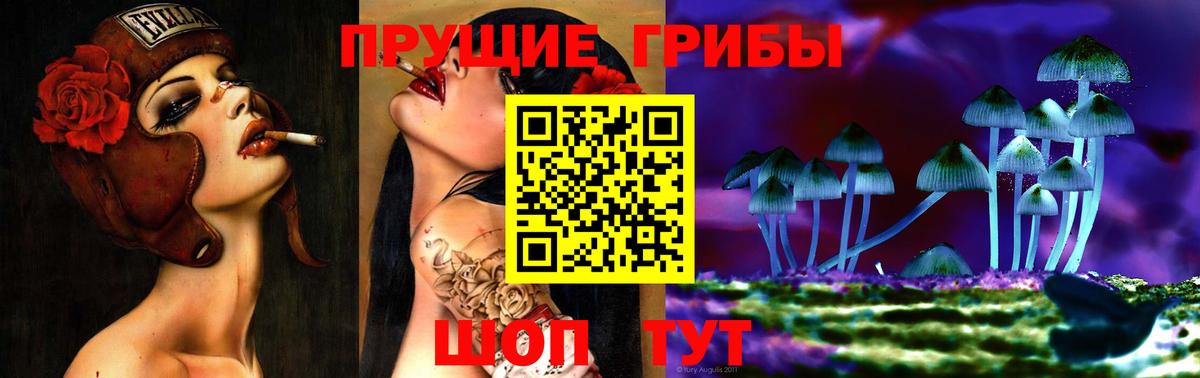 Галлюциногенные грибы Magic Shrooms  Галлюциногенные грибы мицелий  Вход с VPN  Урюпинск 
